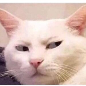 Meet your Posher, Elle